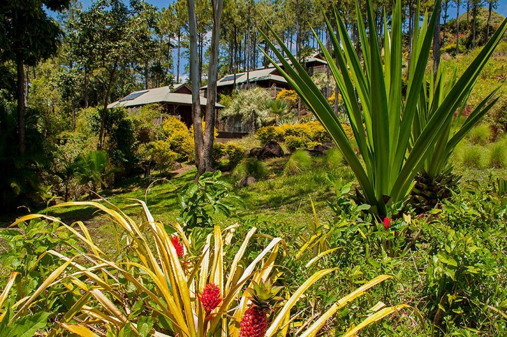 Lakaz Chamarel Exclusive Lodge Buitenkant foto