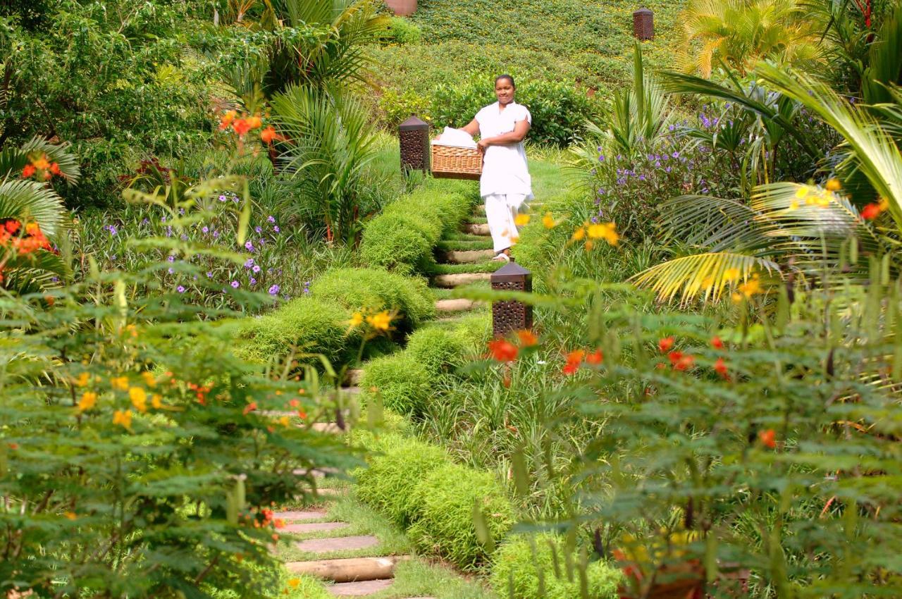 Lakaz Chamarel Exclusive Lodge Buitenkant foto